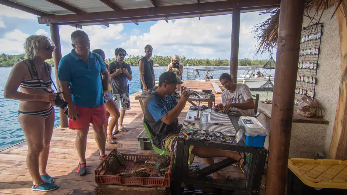 Visit of the Huahine Pearl Farm and Pottery